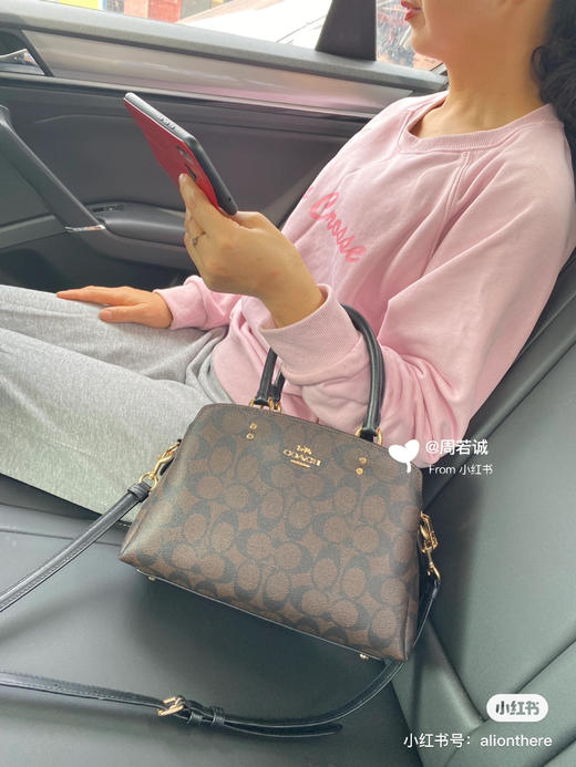 LILLIE戴妃手袋包｜颜色6️⃣ 商品图5