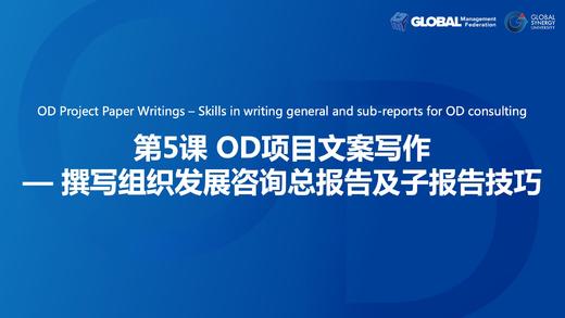 第5课：OD项目文案写作—撰写组织发展咨询总报告及子报告技巧 商品图0
