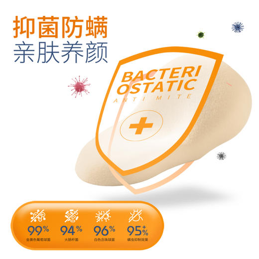 【嘉莉娅硅胶枕】猫肚皮硅芯枕  360°全透氧科技 会呼吸的枕头 体工学柔软弹性型设计 尺寸误差1cm左右 商品图3