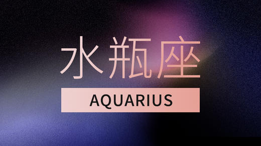 水瓶座 商品图0