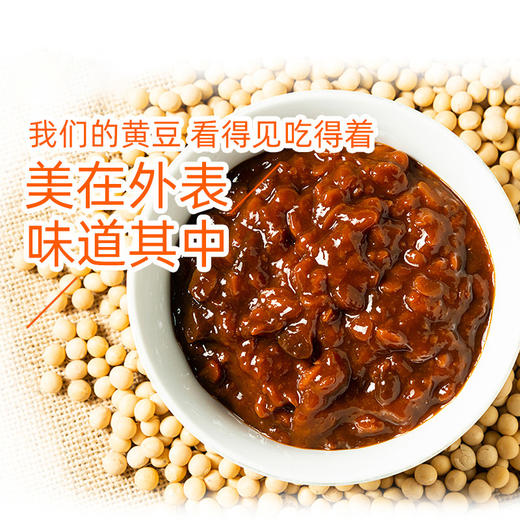 海天辣黄豆酱800g 商品图2