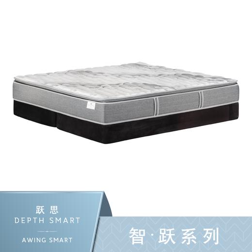 Sealy丝涟床垫 智·跃系列 跃思 Depth Smart 商品图0