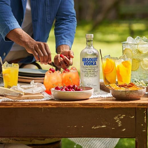 瑞典绝对伏特加洋酒原味 40度1L*1瓶/2瓶 商品图6