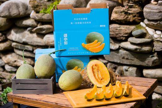 疆小密新疆哈密瓜西周蜜25号 商品图8