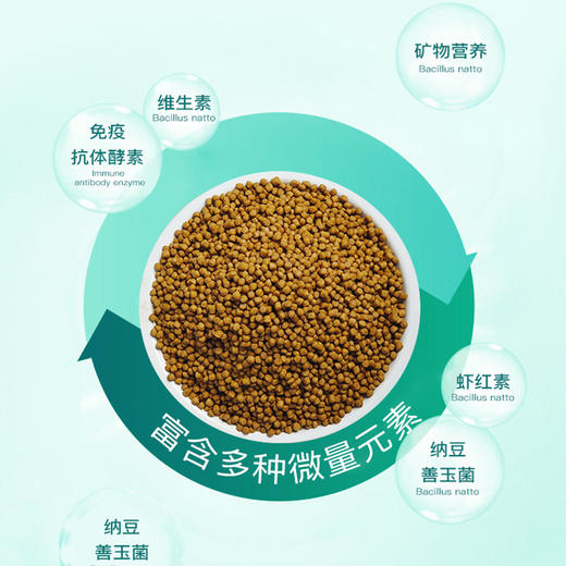 龟粮乌龟饲料巴西龟草龟粮食半水龟通用粮观赏龟小乌龟粮颗粒 商品图1