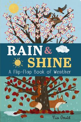 纸板翻翻书 天气变化  天气季节小知识儿童读物 英文原版 Rain & Shine: A Flip-Flap Book of Weather