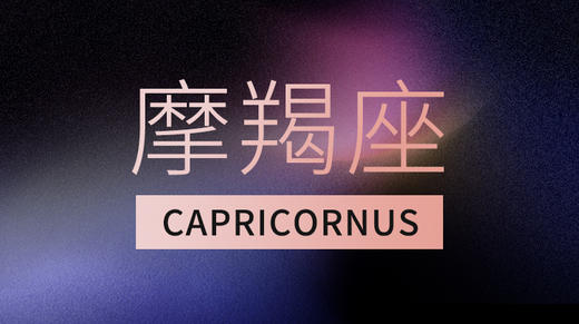 魔羯座 商品图0