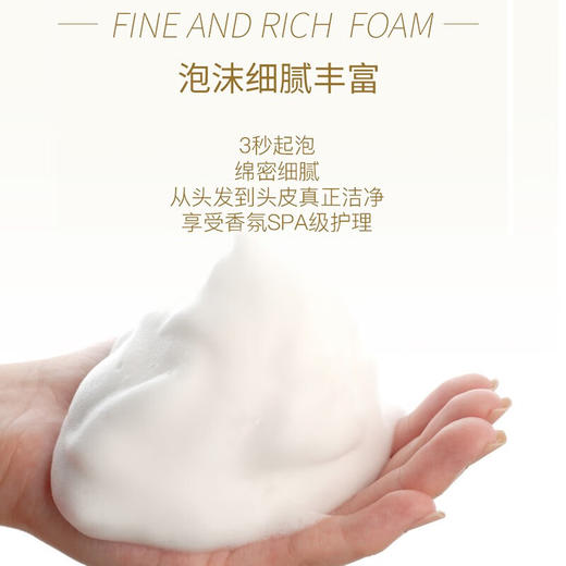 舒蕾参姜养根健发洗发露500ml 商品图6