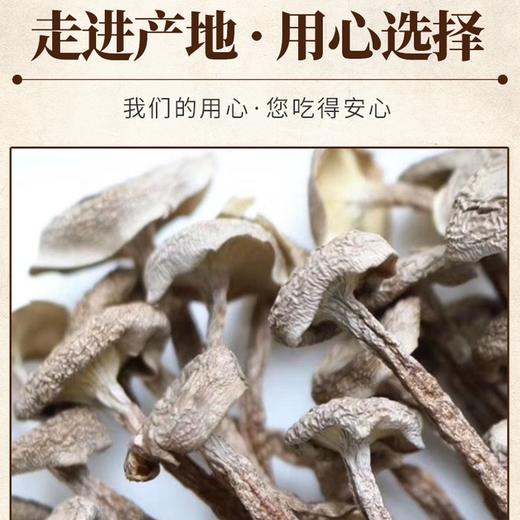 黔东南剑河【干鹿茸菇】80g 全国包邮部分地区不发货 蛋白质、维生素等含量丰富，经烹饪菌肉肥厚细腻、清新扑鼻、口感脆滑 商品图4