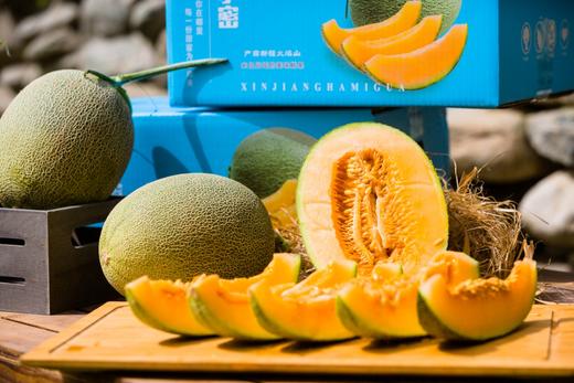 疆小密新疆哈密瓜西周蜜25号 商品图7