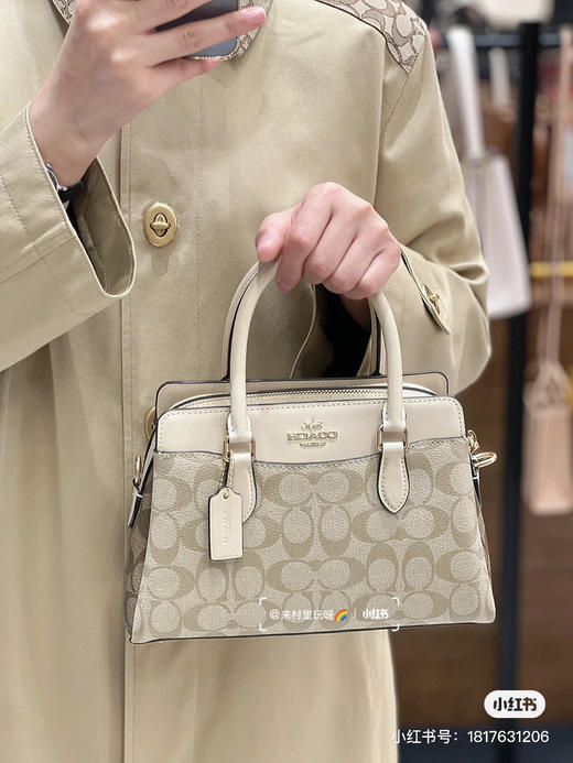 新款戴妃包 Darcie 系列 商品图3