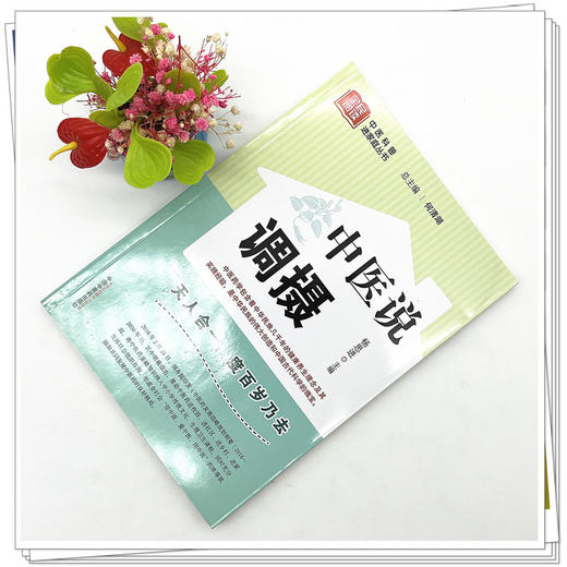 中医说调摄 杨思进 主编 何清湖 总主编 中国中医药出版社 中医科普进家庭丛书 书籍 商品图3