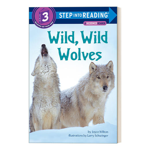 英文原版 Step into Reading 3 - Wild  Wild Wolves 野狼 野狼 英文版 进口英语原版书籍 商品图0