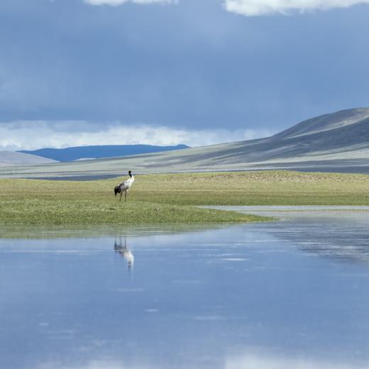 《一个长江 从雪山到海洋》 商品图12