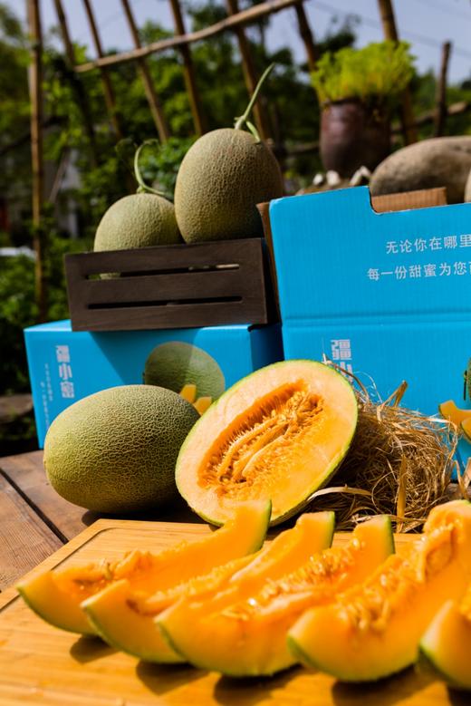 疆小密新疆哈密瓜西周蜜25号 商品图2