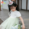 贝贝怡女童清新甜美短袖连衣裙夏季新款女孩拼接网纱裙儿童公主裙 商品缩略图2