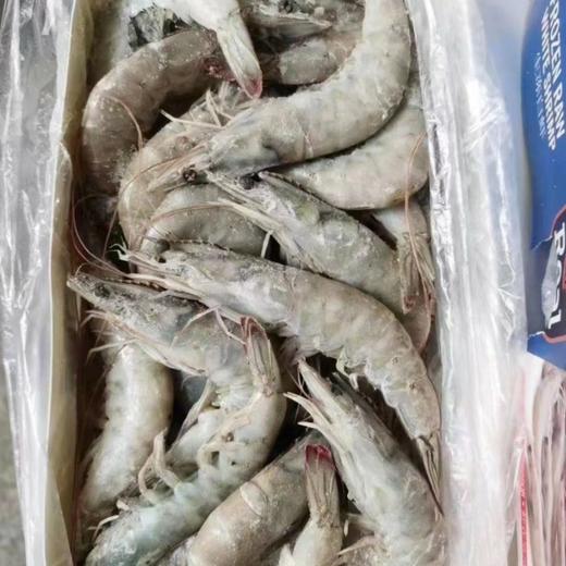 皇冠~原装厄瓜多尔冷冻生白虾【净重1.8公斤 30/40】 商品图2