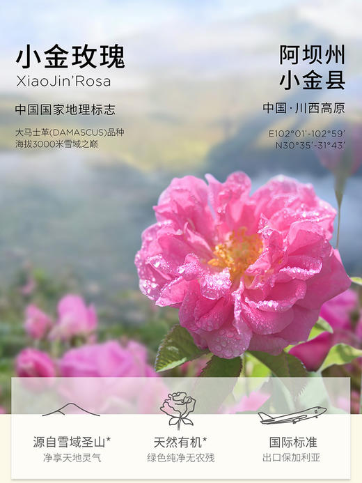 金山高山玫瑰花冠茶 商品图8