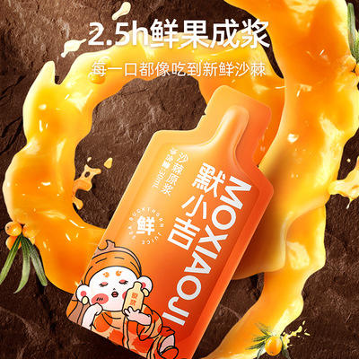 【包邮直发】中国  杞里香 默小吉  沙棘原浆   300ml（10袋装） 商品图2