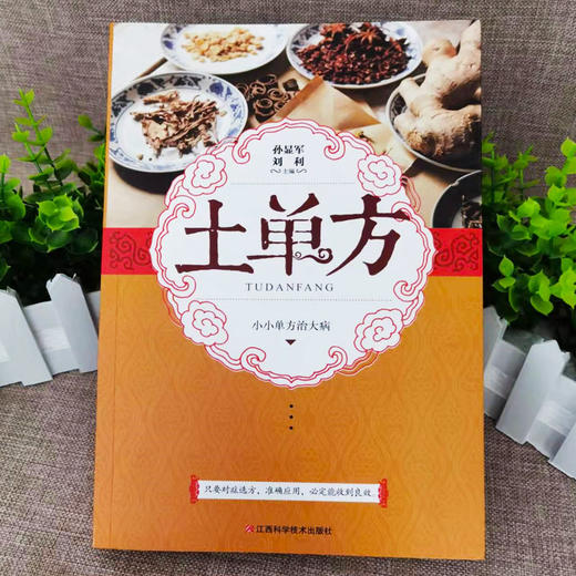 【推荐】【2册】土单方+小方子 商品图2