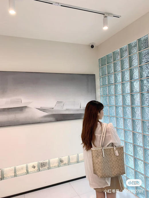 coach经典老花托特 磁扣版 商品图0