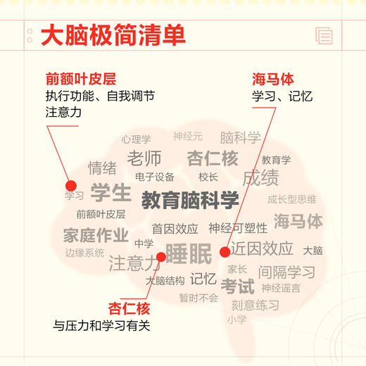 教育脑科学 提升教学与学习效果的实践指南 教育心理学书籍考试脑科学老师教师家长提升成绩实践指南 商品图2