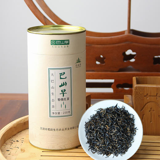 巴山早23年新茶特级雀舌红茶250g/罐产自富硒之都万源高山生态茶叶 商品图4