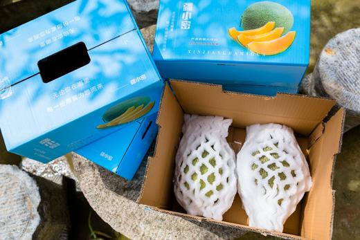 疆小密新疆哈密瓜西周蜜25号 商品图9