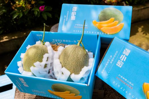 疆小密新疆哈密瓜西周蜜25号 商品图3