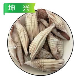 【特惠】坤兴火箭鱿鱼 250g/袋(约10个)
