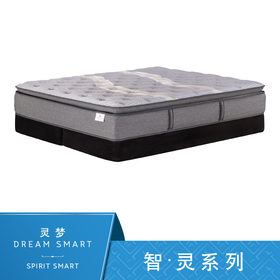 Sealy丝涟床垫 智·灵系列 灵梦 Dream Smart