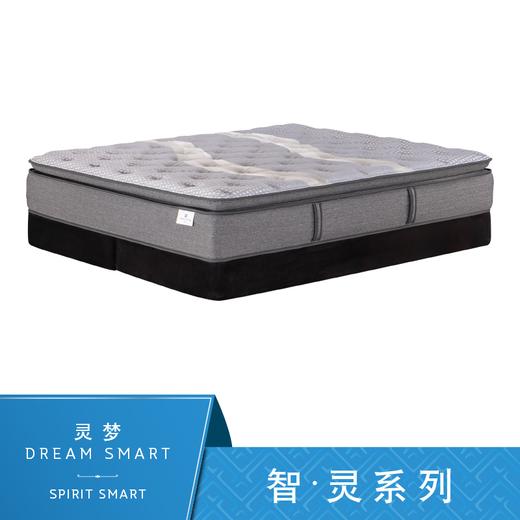 Sealy丝涟床垫 智·灵系列 灵梦 Dream Smart 商品图0