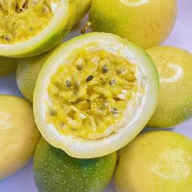 【大口黑标水果】海南钦蜜9号黄金百香果  只选大果 直接吃 甜美蜜桃气息