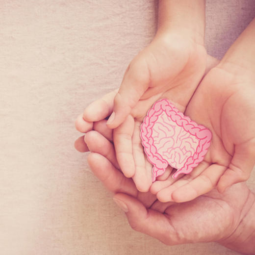 免疫力与肠道菌群的密切关系 商品图0