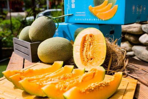 疆小密新疆哈密瓜西周蜜25号 商品图6