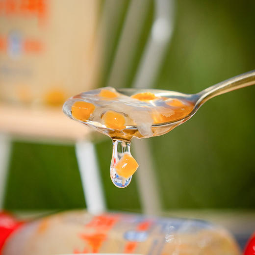 每日不心疼“燕窝”｜王小珥鲜炖银耳羹原味/木瓜味 商品图5