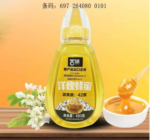 智诚洋槐蜂蜜480g(6972640800118) 商品图0