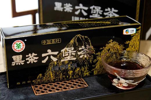 中茶 黑盒六堡茶（2020）200g 商品图0