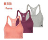 美国🇺🇸直邮特价248元/3个装🉐包税包邮到手了，Puma女士运动专业文胸内衣3件装，这款更适合夏天！ 商品缩略图1