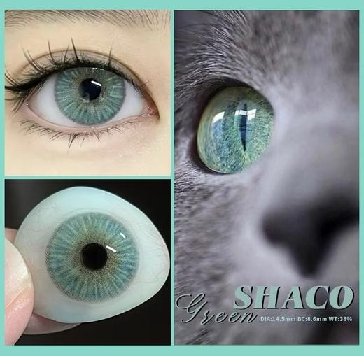 Cococon·月抛  纽约绿  14.5  禁欲系松石绿 95%全覆盖瞳色范围•极zhi混血体验！危险又迷人的蛇系混血美女人种！韩产0-800度<一副两片> 商品图1