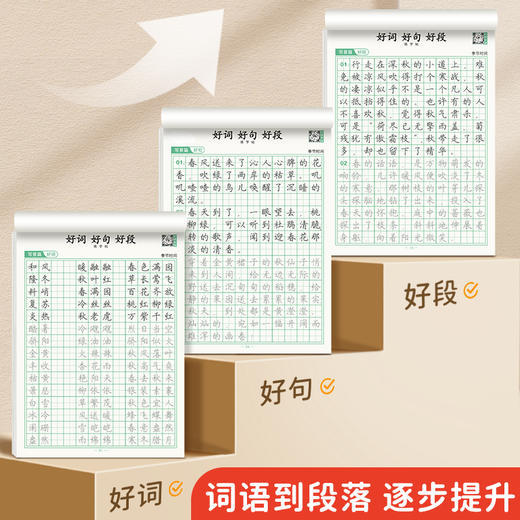 好词好句好段练字帖小学生专用字帖作文素材优美句子积累钢笔楷书儿童每日一练硬笔书法词句段描红练习提高写作1-6年级练字本 商品图1