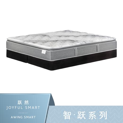 Sealy丝涟床垫 智·跃系列 跃然 Joyful Smart 商品图0