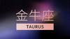 金牛座 商品缩略图0