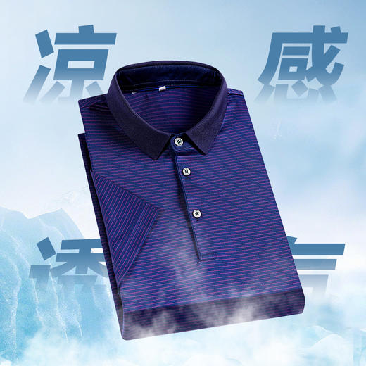 【新款DPS】大依优型大码条纹桑蚕丝短袖POLO衫夏季加肥加大肥佬休闲商务宽松透气 商品图3