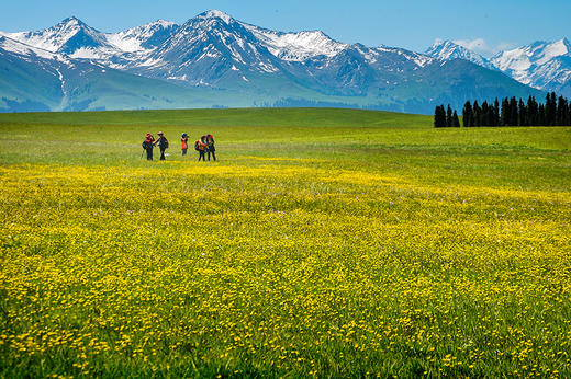 5月30日（越野车）【新疆】转场C:哈萨克牧民转场+伊犁花海+沙漠人文摄影旅游采风16天摄影团 商品图0
