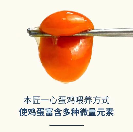 安联甄选可生食无菌鸡蛋（90枚） 商品图2