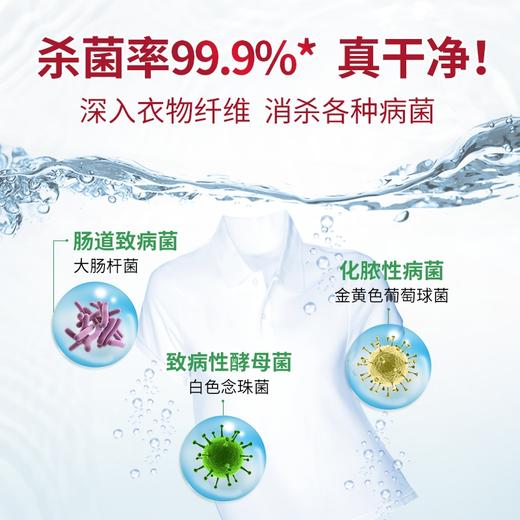 【诗乐氏】衣物除菌液（清新型）1000mlx2瓶 商品图1