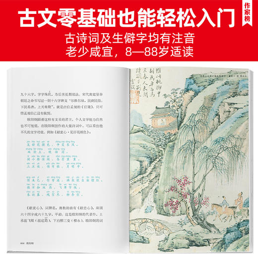 《马未都讲透唐诗》《马未都讲宋词》（全5册）| 用讲故事的方式讲述诗人词人命运 轻松读懂唐诗宋词精髓 有趣又涨知识！ 商品图13