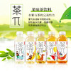 【累计销量18731+】农夫山泉茶派茶π饮料500ml果味茶饮料茉莉花茶乌龙（随机口味） 商品缩略图1