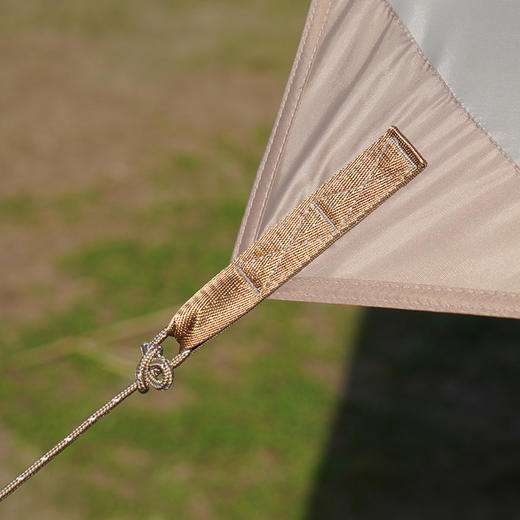 大迈星际漫步天幕  1012L 商品图4